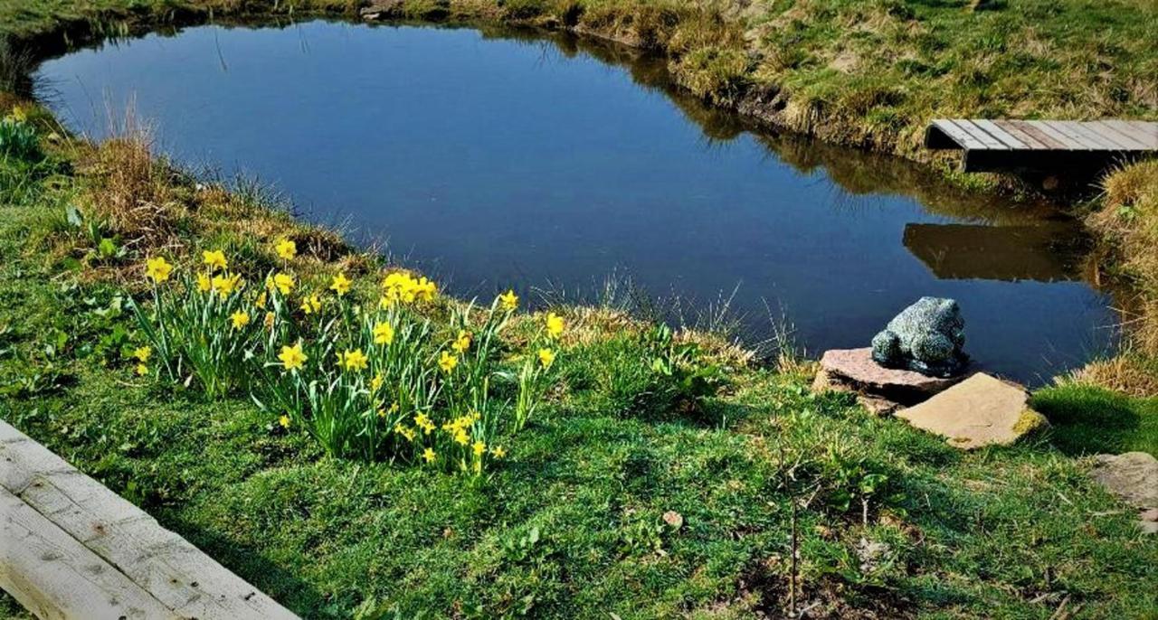 Peak District Cottage Set In 5 Acres Near Buxton Бакстон Экстерьер фото